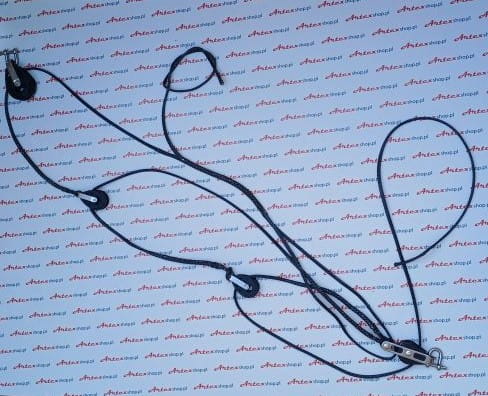 20251008_153449.jpg